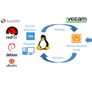 Veeam Agent for Linux
